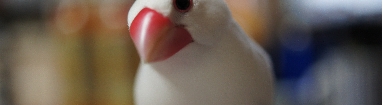 DSC00044.JPG