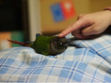 DSC00176.JPG