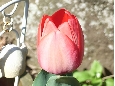 RIMG0122.jpg