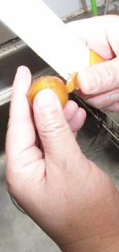 RIMG0135.JPG